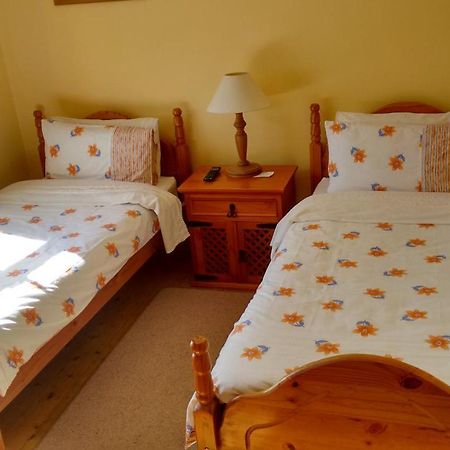 Grannagh Castle House Bed and Breakfast Γουότερφορντ Εξωτερικό φωτογραφία