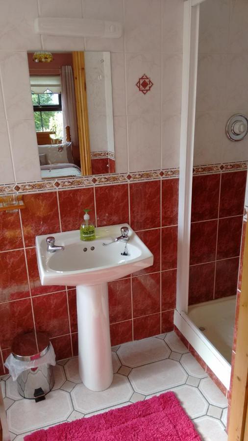 Grannagh Castle House Bed and Breakfast Γουότερφορντ Εξωτερικό φωτογραφία