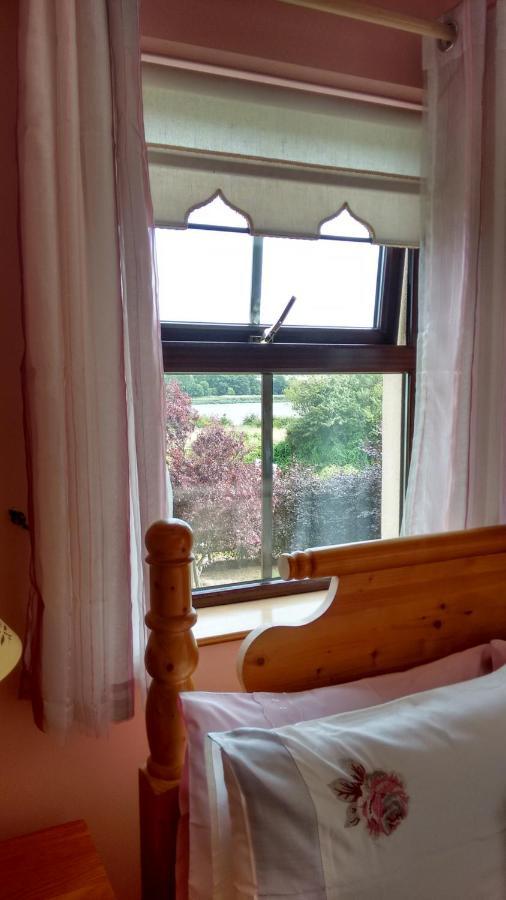 Grannagh Castle House Bed and Breakfast Γουότερφορντ Εξωτερικό φωτογραφία