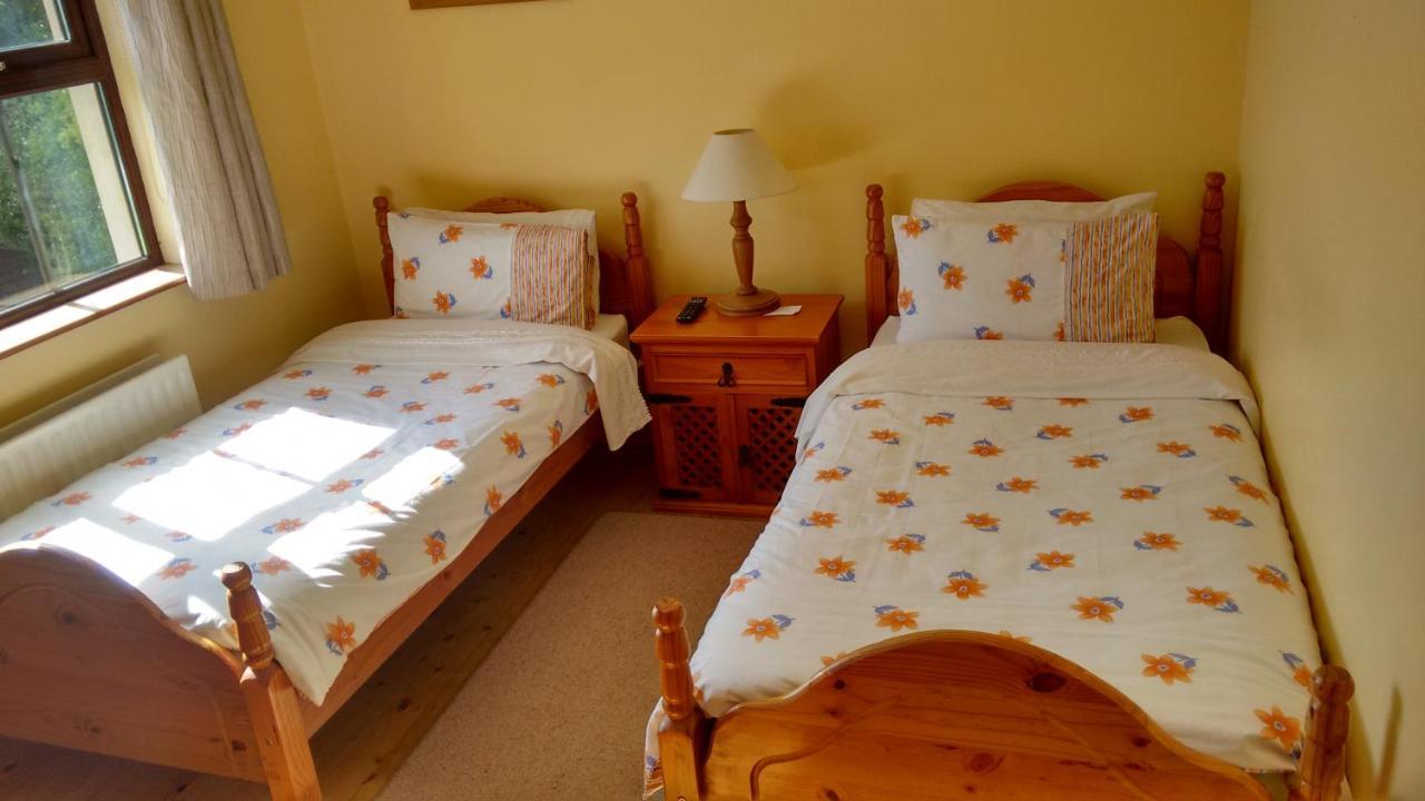 Grannagh Castle House Bed and Breakfast Γουότερφορντ Εξωτερικό φωτογραφία