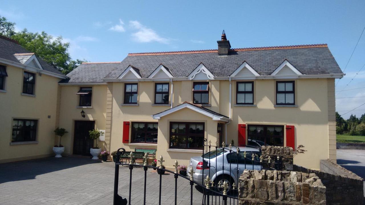 Grannagh Castle House Bed and Breakfast Γουότερφορντ Εξωτερικό φωτογραφία