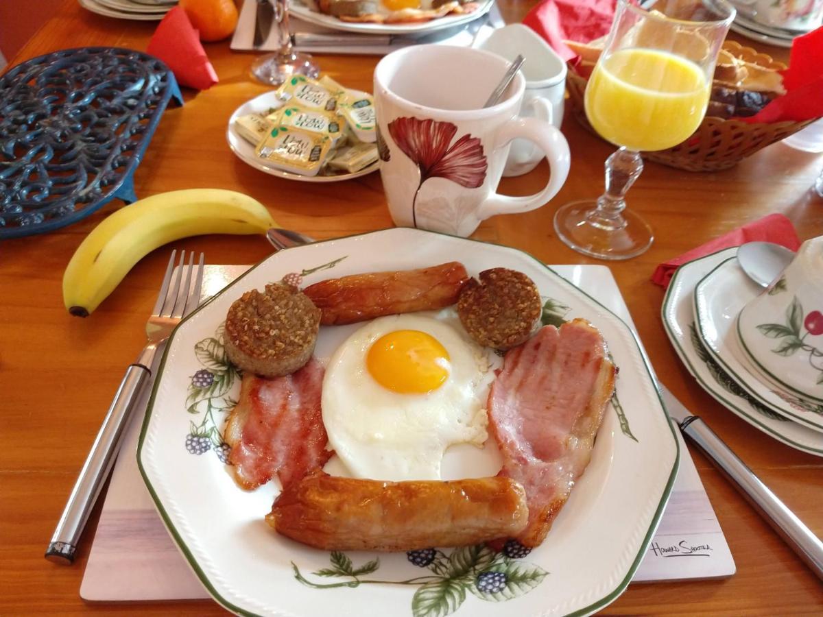 Grannagh Castle House Bed and Breakfast Γουότερφορντ Εξωτερικό φωτογραφία