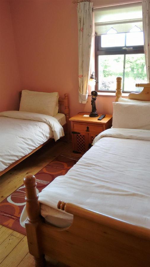 Grannagh Castle House Bed and Breakfast Γουότερφορντ Εξωτερικό φωτογραφία