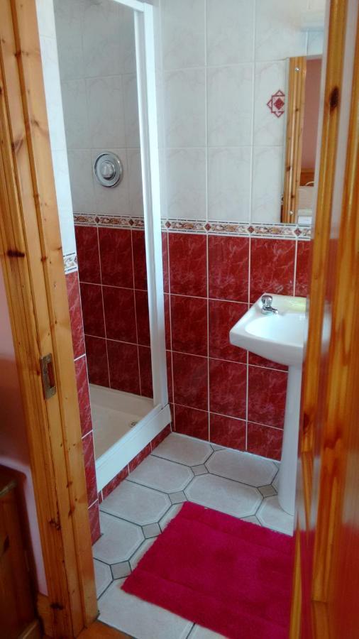 Grannagh Castle House Bed and Breakfast Γουότερφορντ Εξωτερικό φωτογραφία
