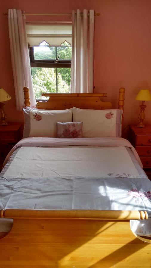 Grannagh Castle House Bed and Breakfast Γουότερφορντ Εξωτερικό φωτογραφία