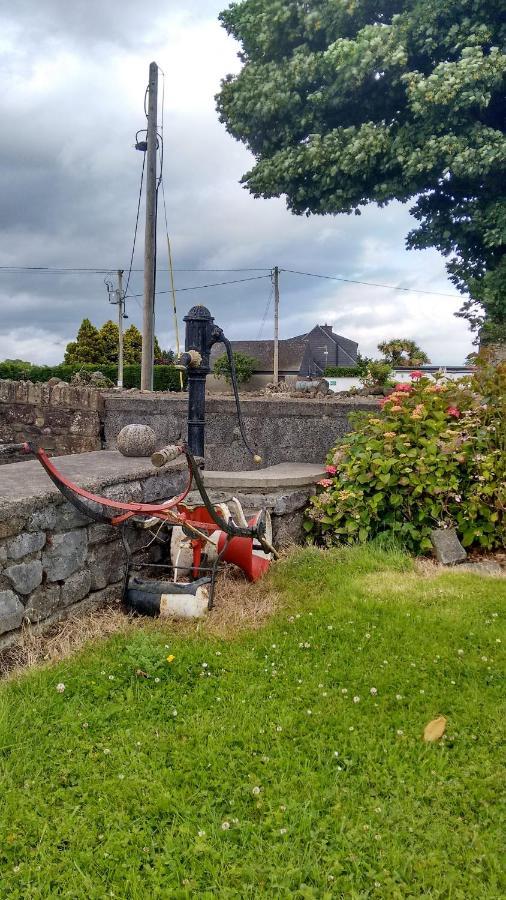 Grannagh Castle House Bed and Breakfast Γουότερφορντ Εξωτερικό φωτογραφία