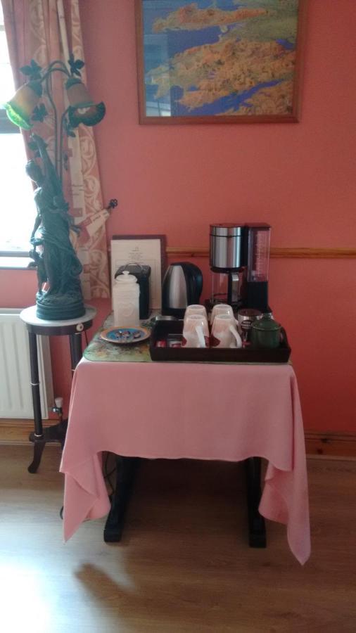 Grannagh Castle House Bed and Breakfast Γουότερφορντ Εξωτερικό φωτογραφία